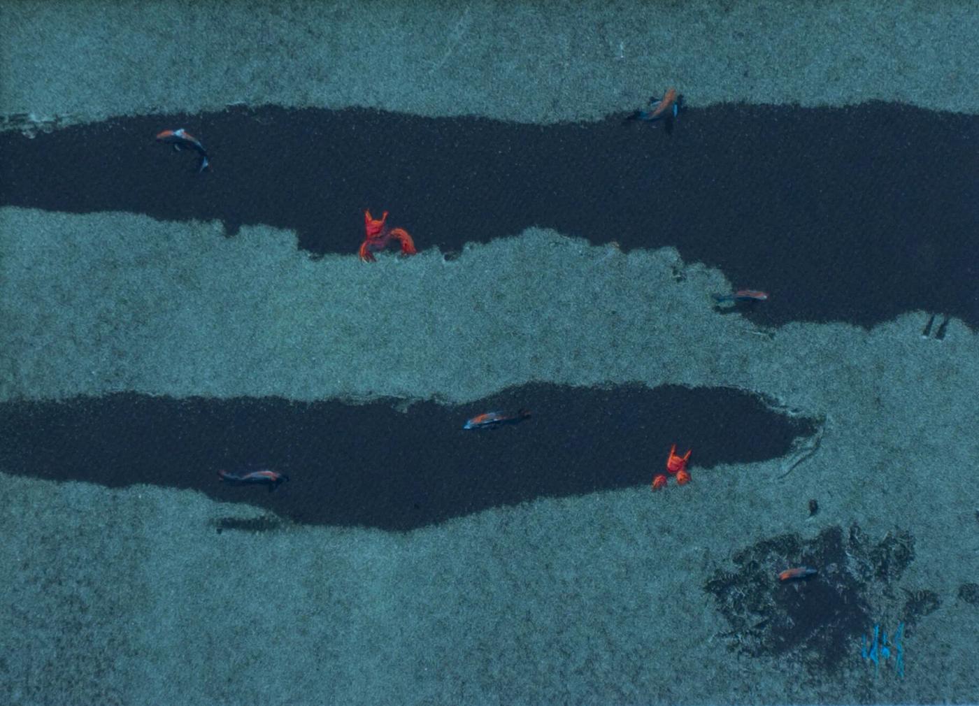 Obra — Roberto Coloma Nadal