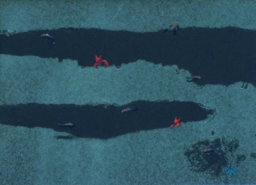 Obra de Roberto Coloma Nadal