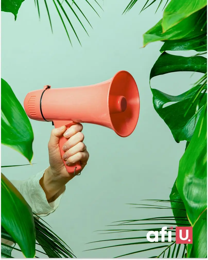 newsletter afi u.