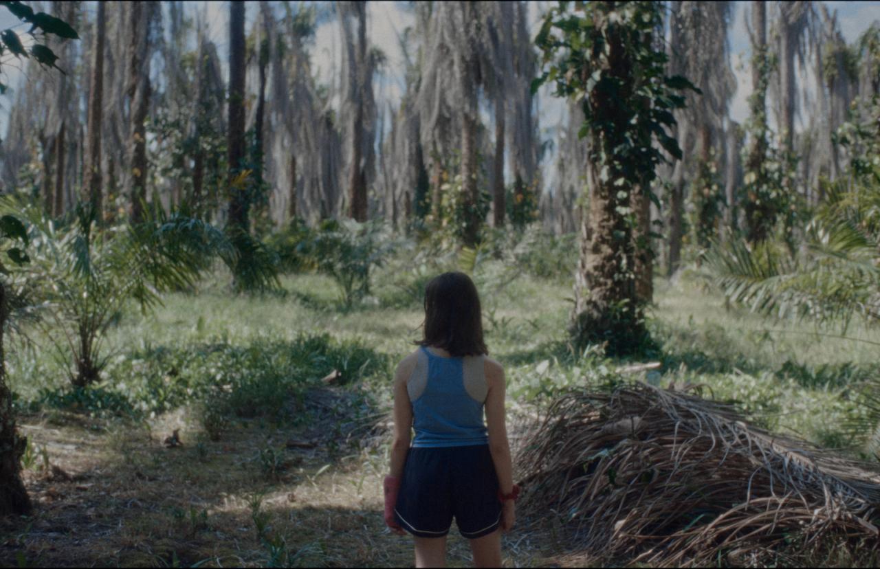 Fotograma de la película con la protagonista al centr, de espaldas, viendo el bosque tropical.