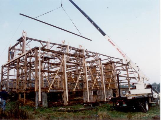 Serendipity during restoration