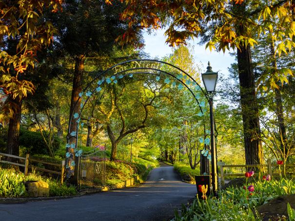 Gates at Far Niente Winery welcome you