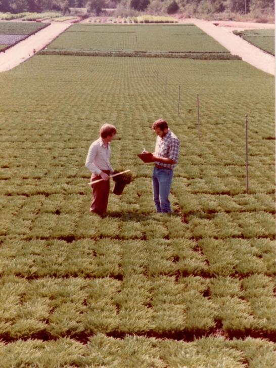 Stelling family retains Far Niente admidst loss