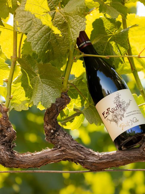 Winemaking Philosophy