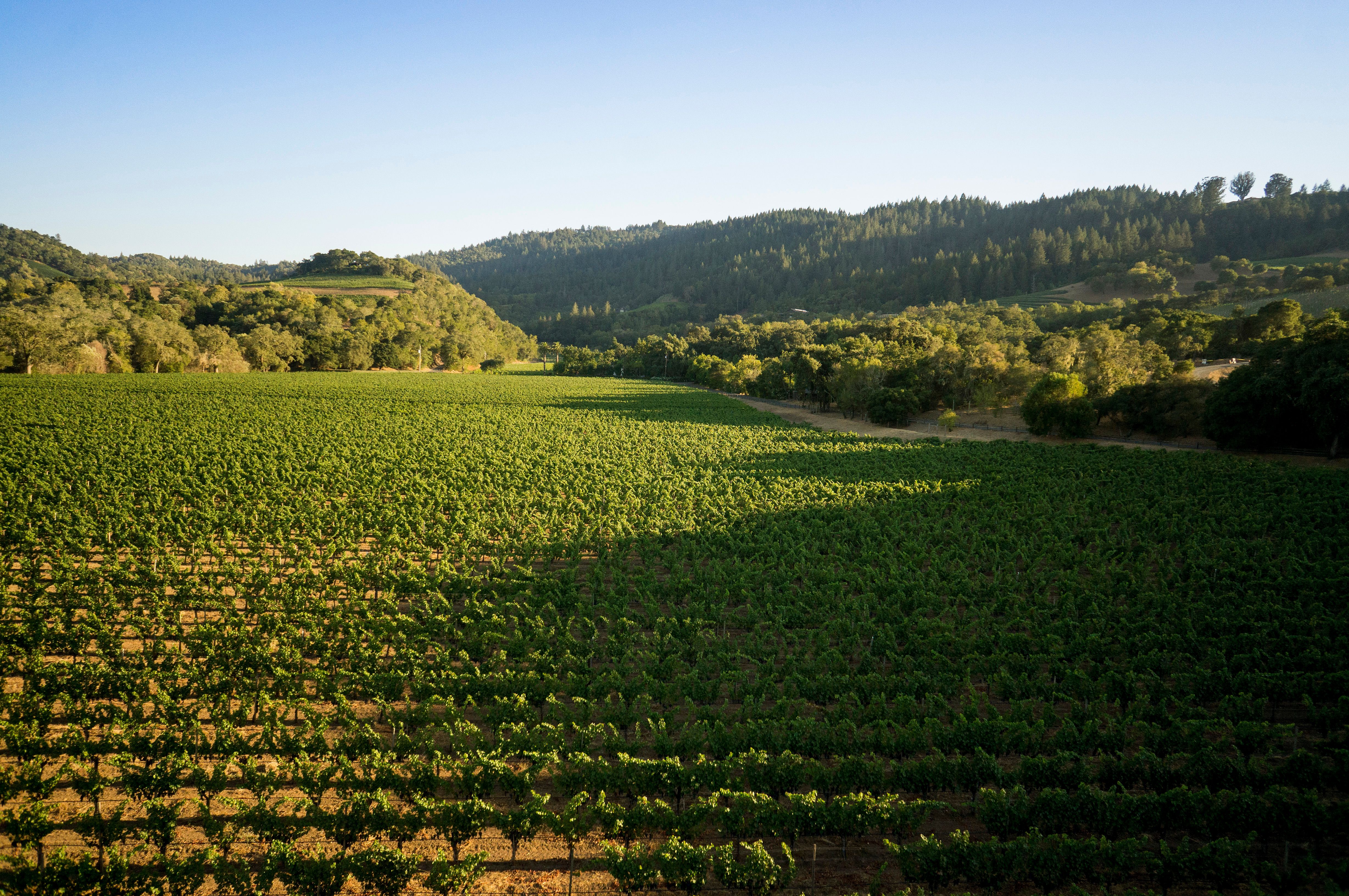 The Importance of Having Partners