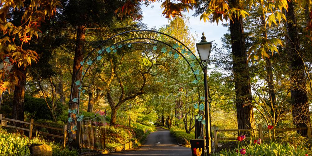 Far Niente opens the gates