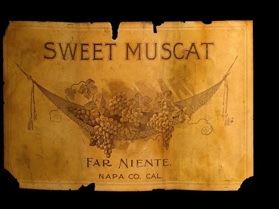 Building the winery dream