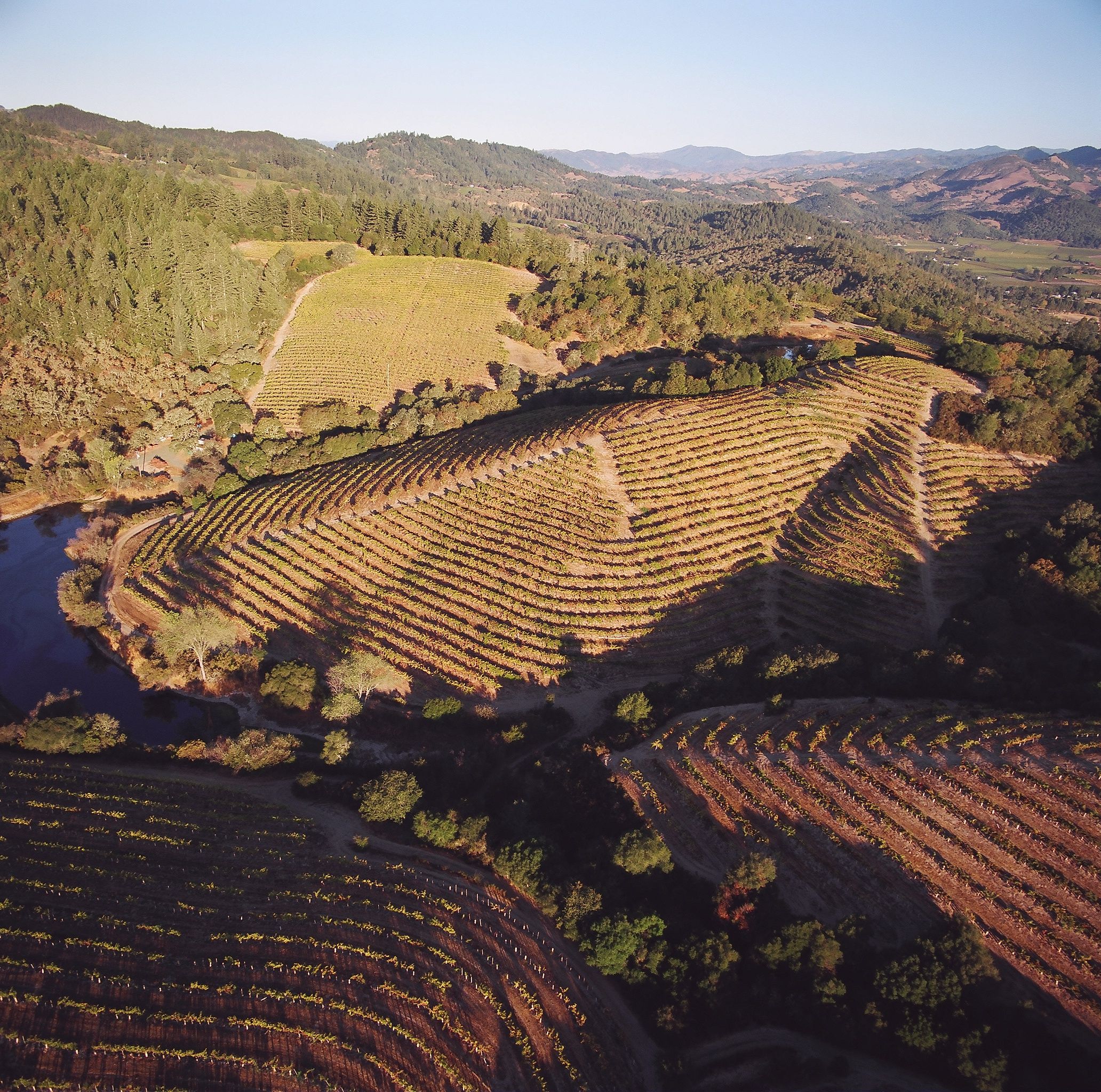 2023 EnRoute Amber Ridge Vineyard Pinot Noir, Russian River Valley