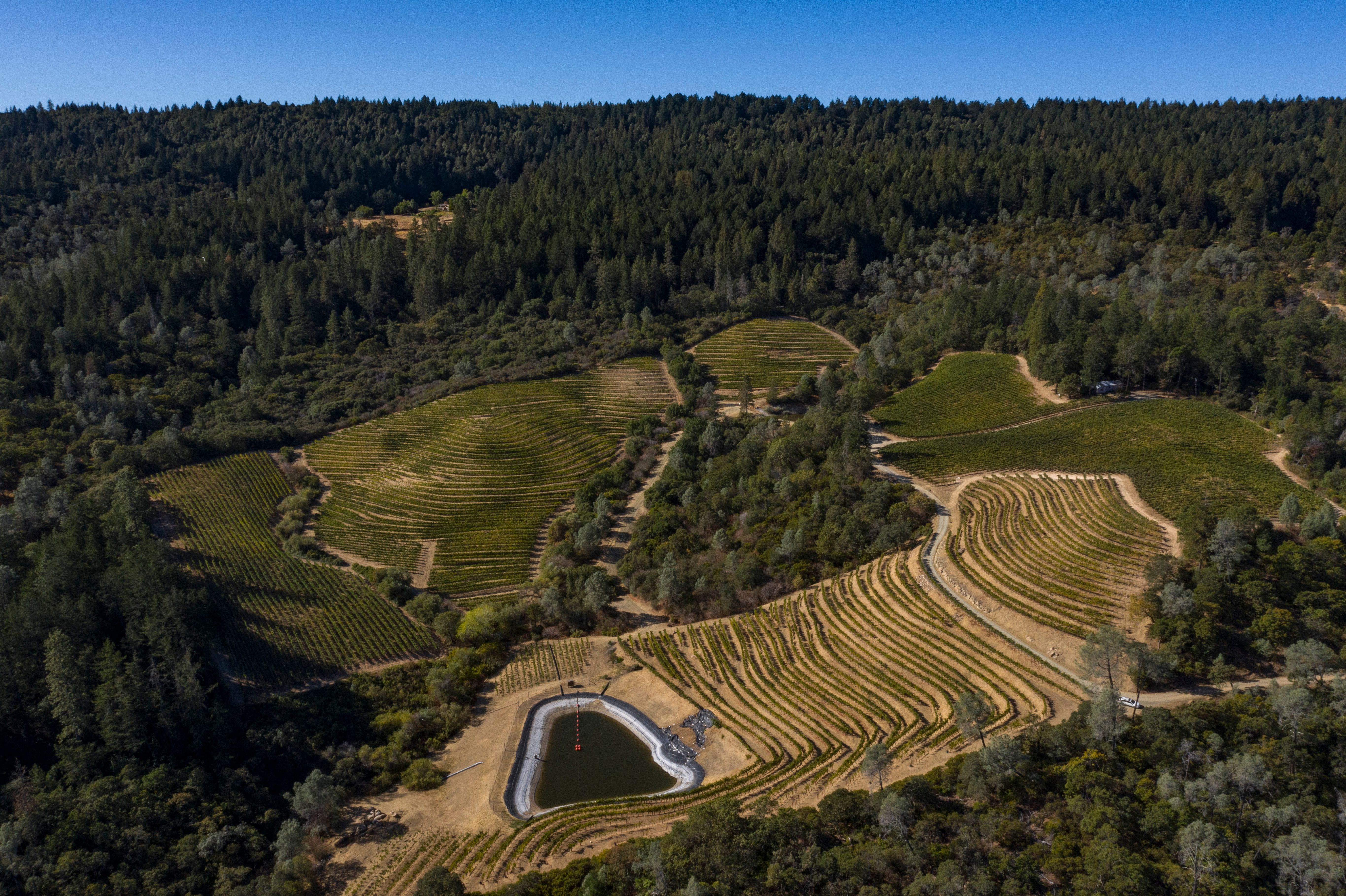 2022 Nickel & Nickel Bear Track Cabernet Sauvignon, Napa Valley