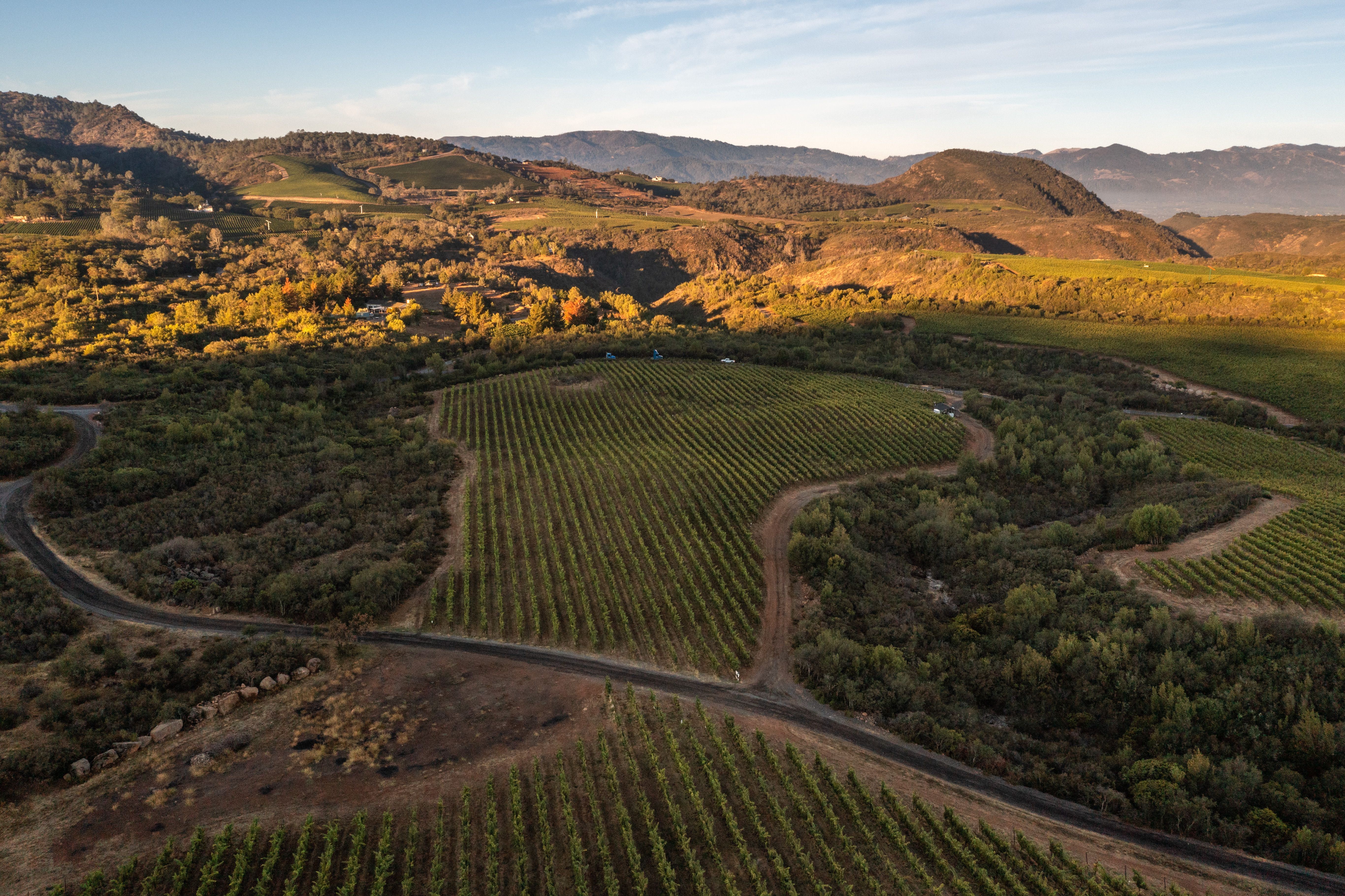 2022 Nickel & Nickel Fog Break Vineyard Cabernet Sauvignon, Atlas Peak