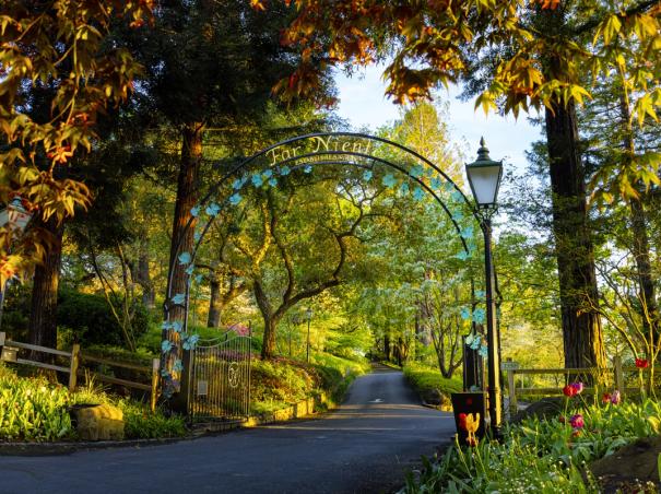 Gates at Far Niente Winery welcome you