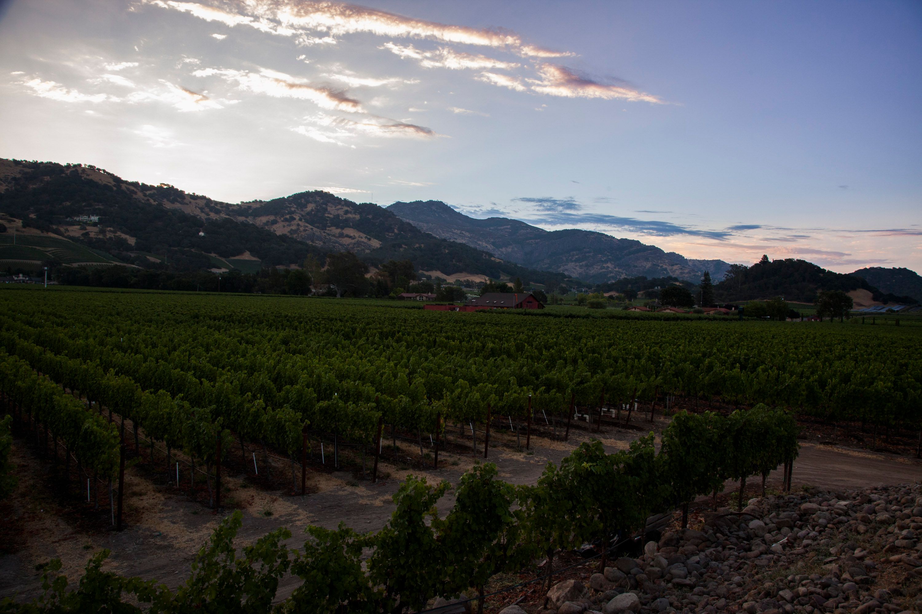 2020 Nickel & Nickel State Ranch Cabernet Sauvignon, Yountville