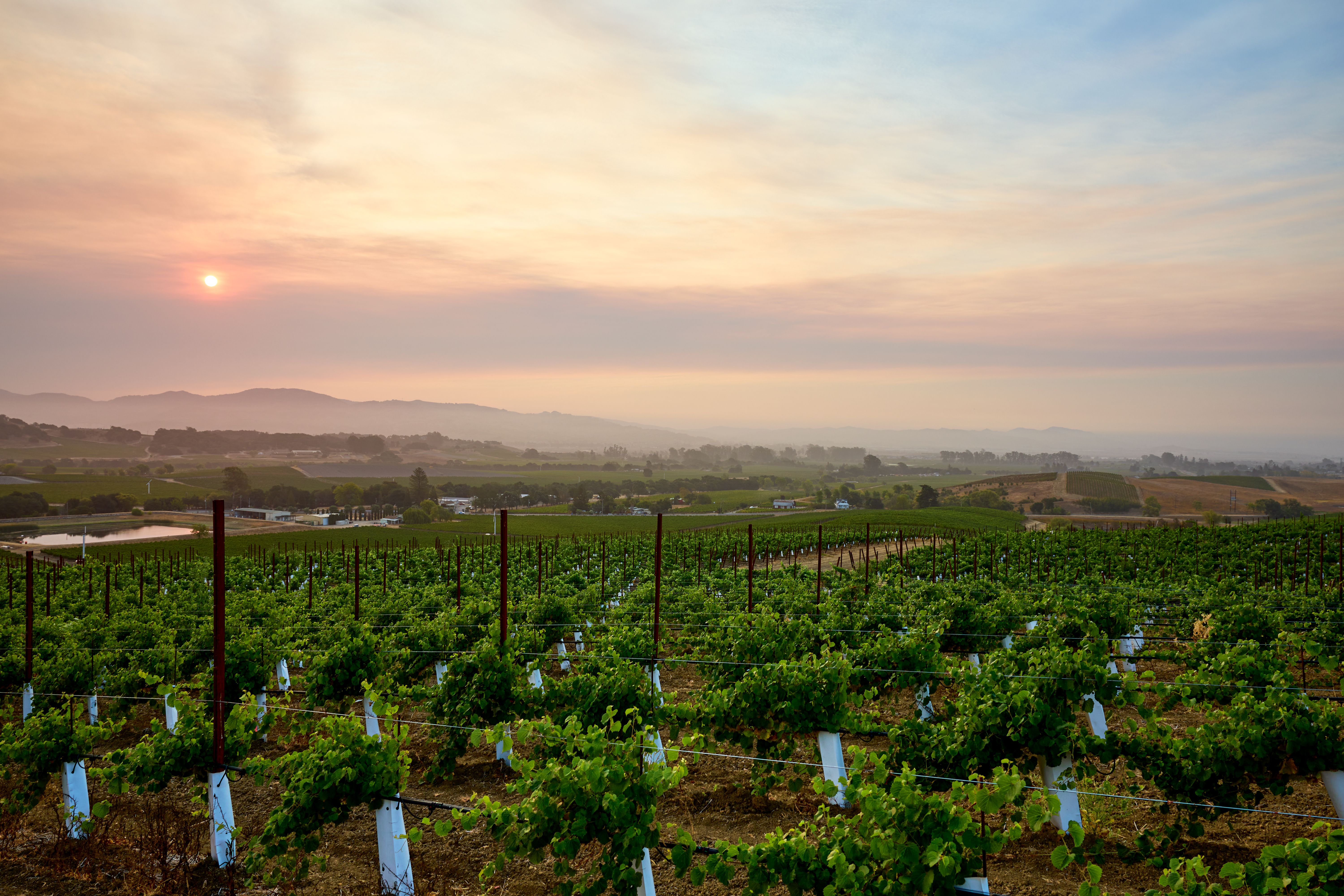 4b71c126ab841a6c8b653855eb2885