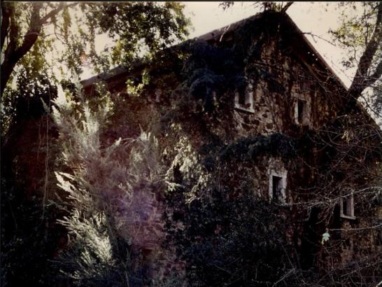 Prohibition leads to legacy