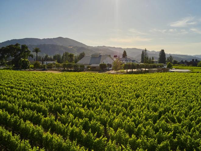 Every vine tells a story at Far Niente