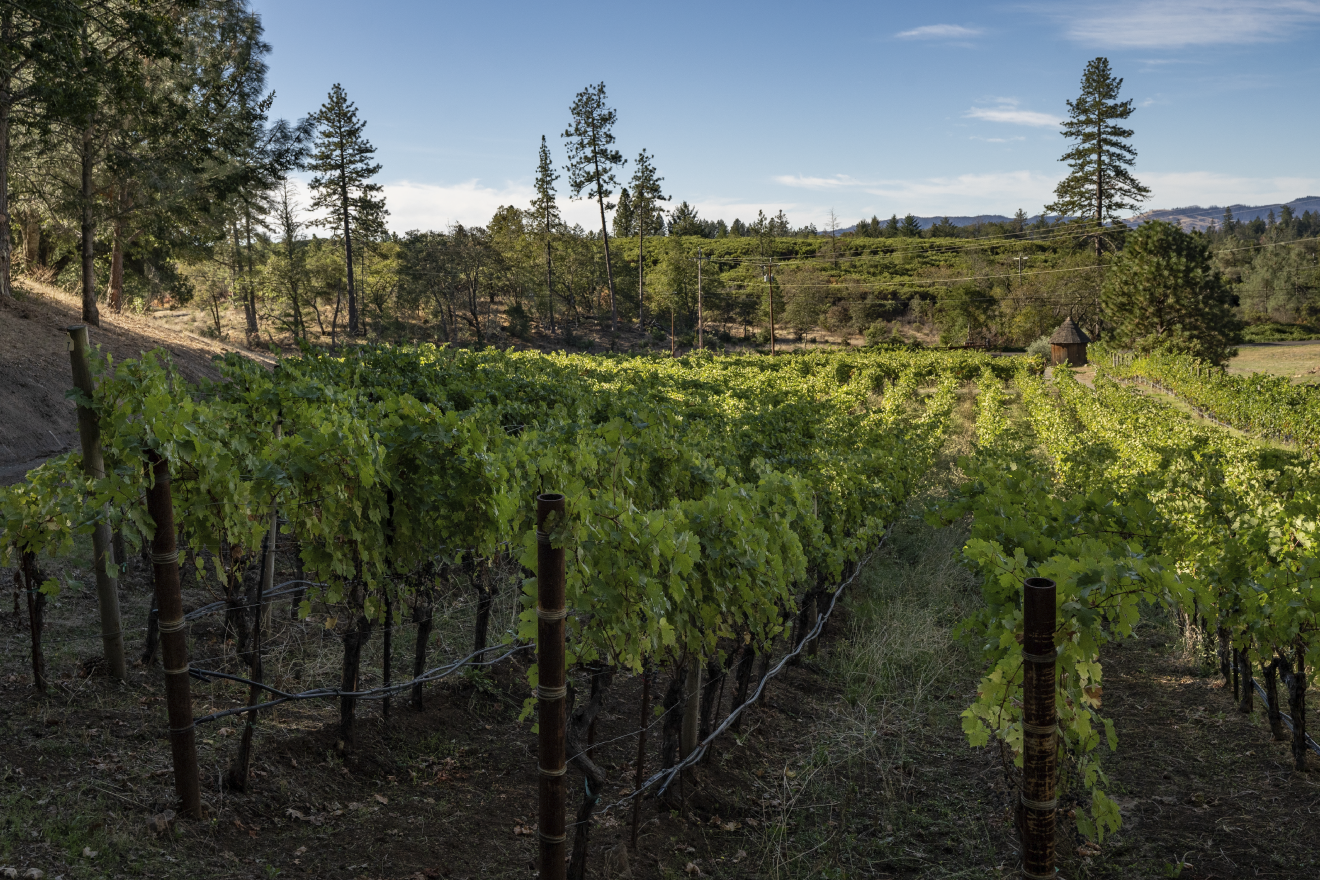 2022 Nickel & Nickel Hawk's Cradle Cabernet Sauvignon, Howell Mountain
