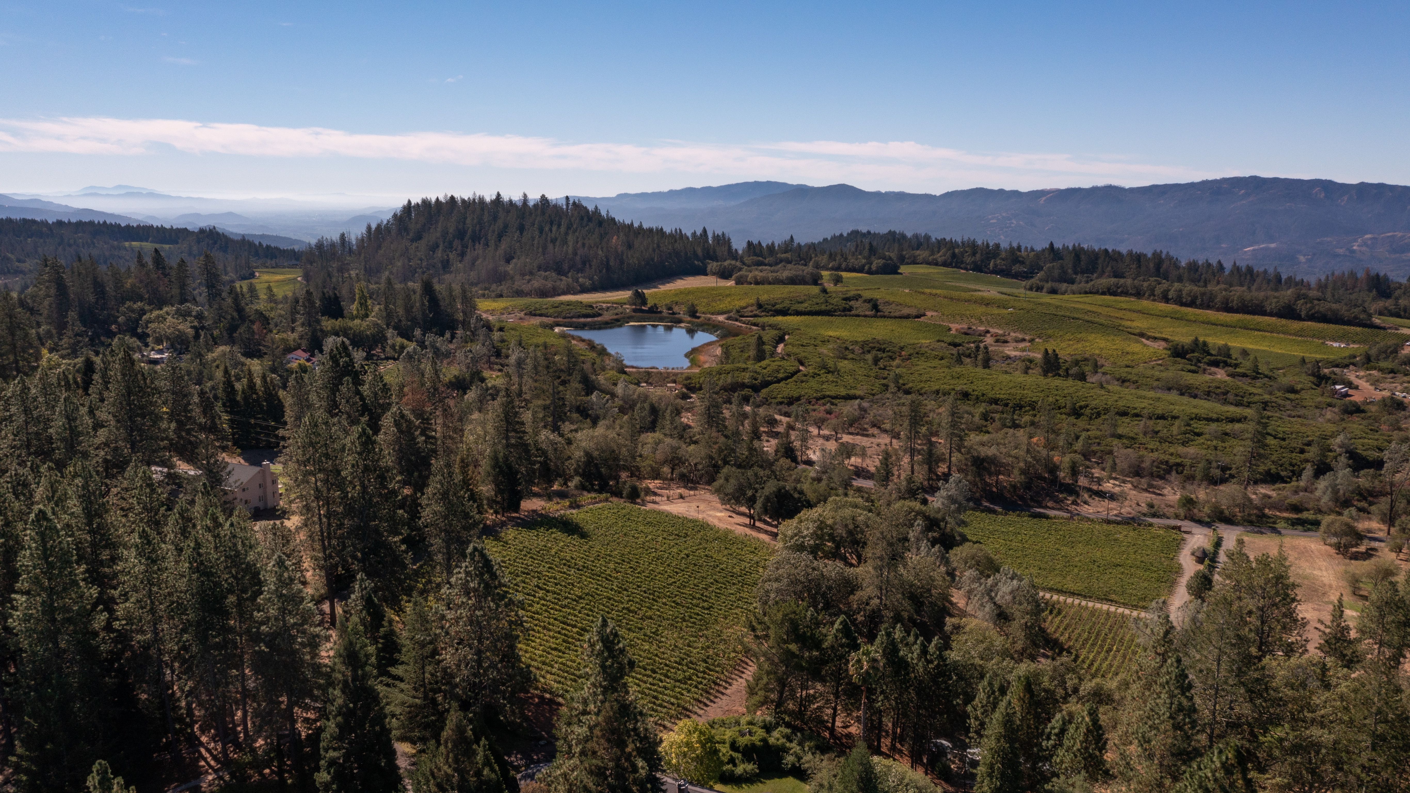 2022 Nickel & Nickel Hawk's Cradle Cabernet Sauvignon, Howell Mountain