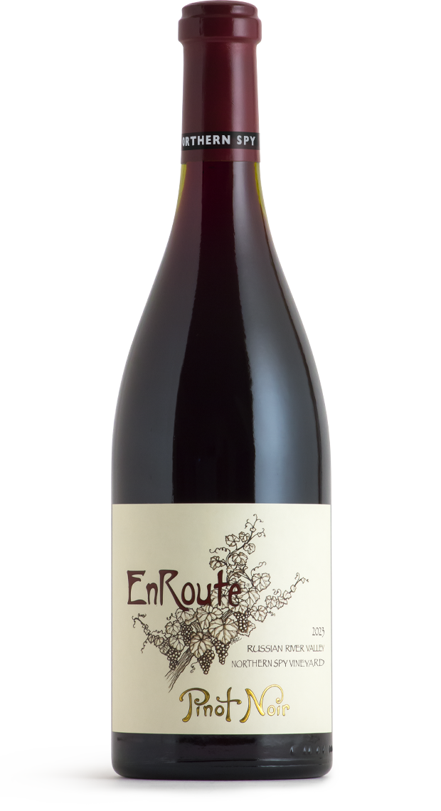 未開封 italics Pursue 2019 赤ワインNapa Valley Vintner's Collective - Wines