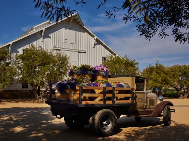 Outside our Fermentation Barn