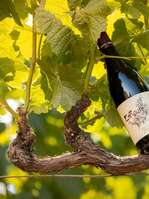 Winemaking Philosophy
