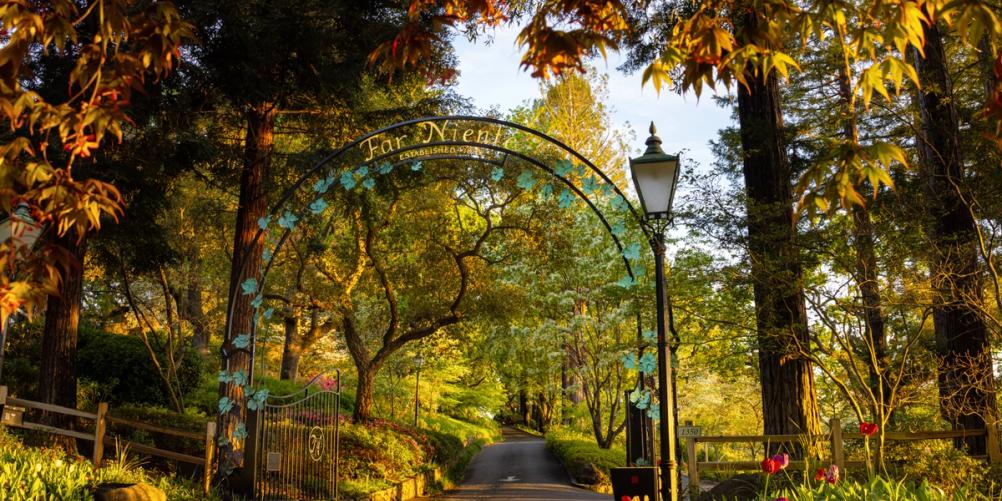 Far Niente opens the gates