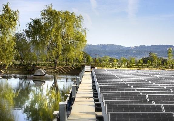 Solar Innovation: Taking Sustainability to Heart in Napa Valley