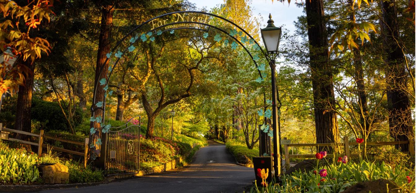 Experience the Enchantment of Far Niente, Napa Valley’s Iconic Wine Estate