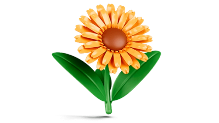 immagine decorativa