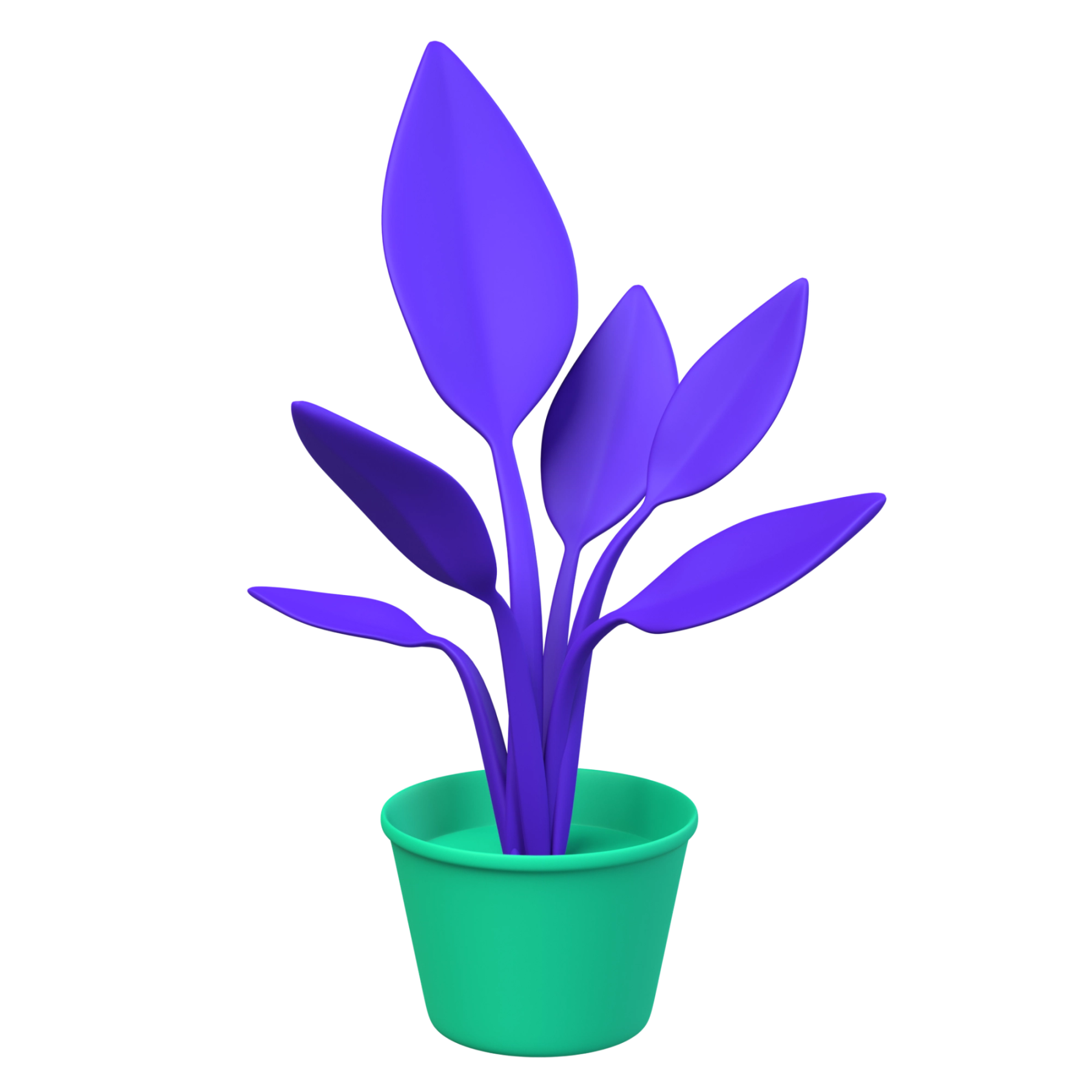 pianta