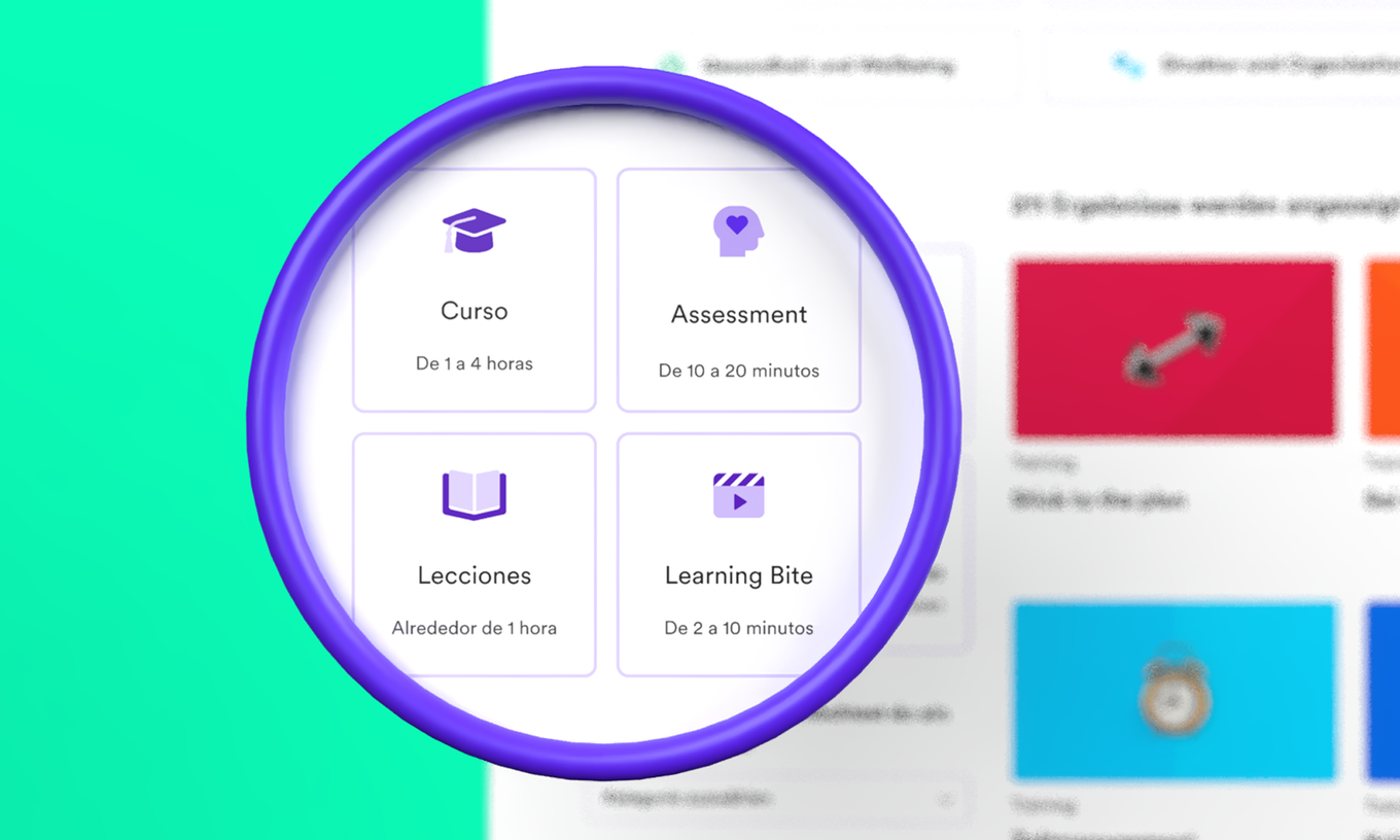 Formatos de aprendizaje
