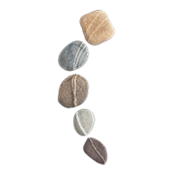 image decorative