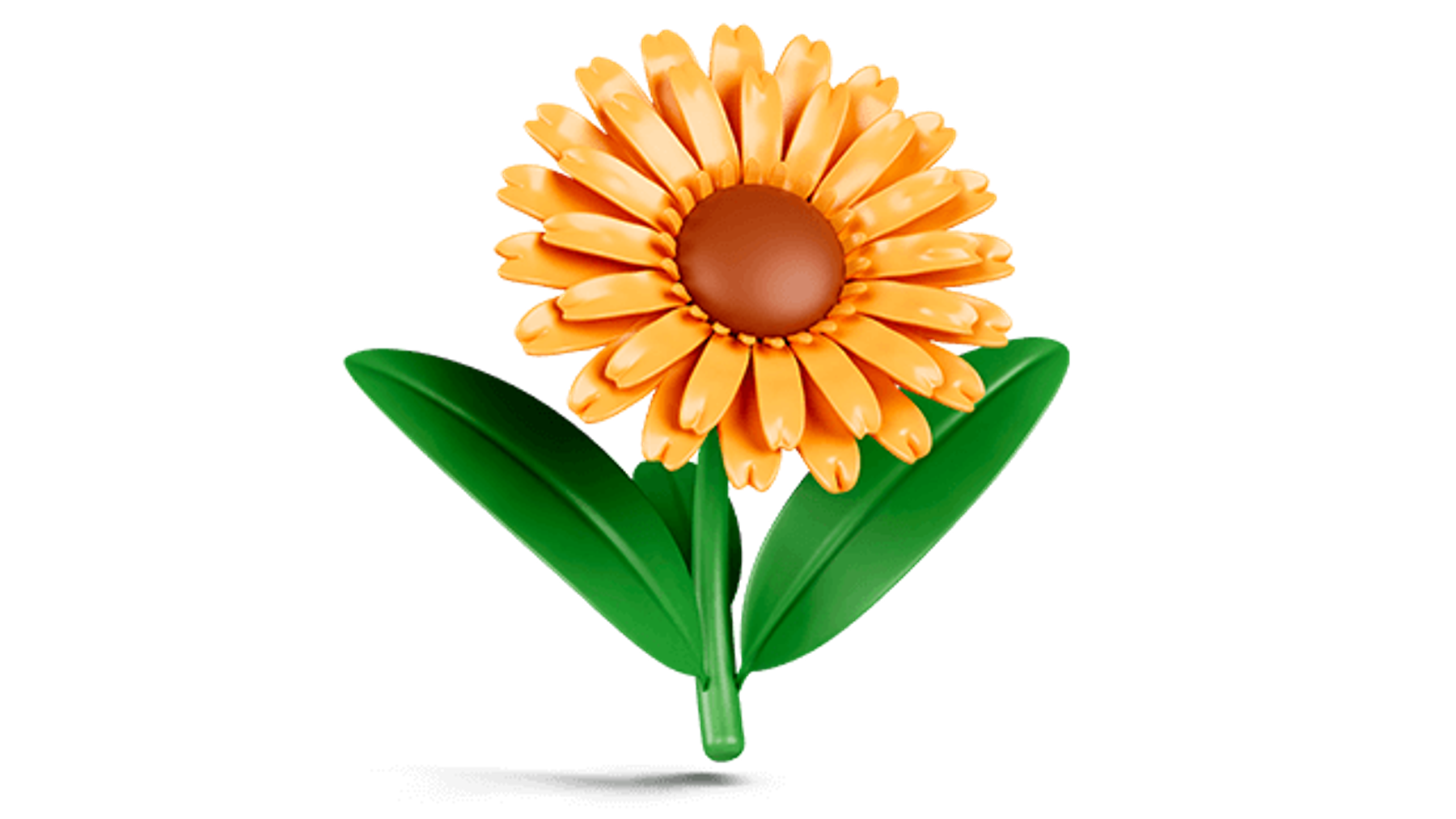 immagine decorativa