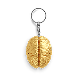 imagen decorativa