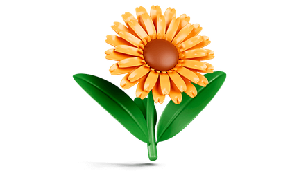 immagine decorativa