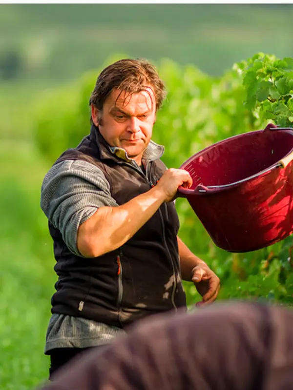 Frédéric Sigonneau