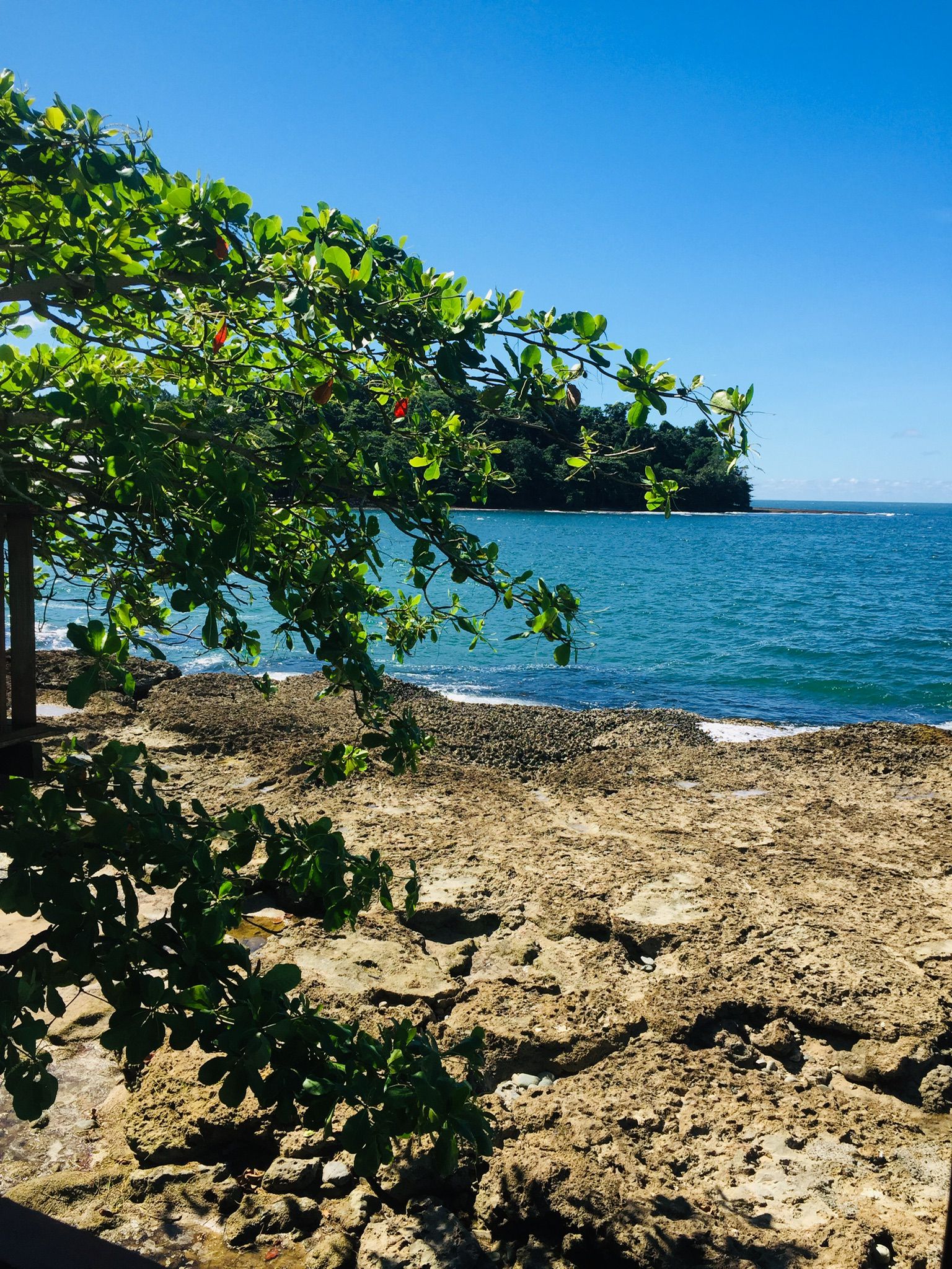 Mamey Latin Soul Food Gericht und Momente in Winterthur