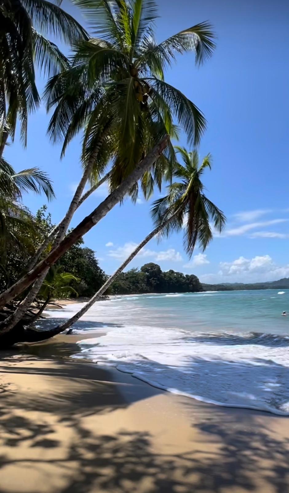 Mamey Latin Soul Food Gericht und Momente in Winterthur