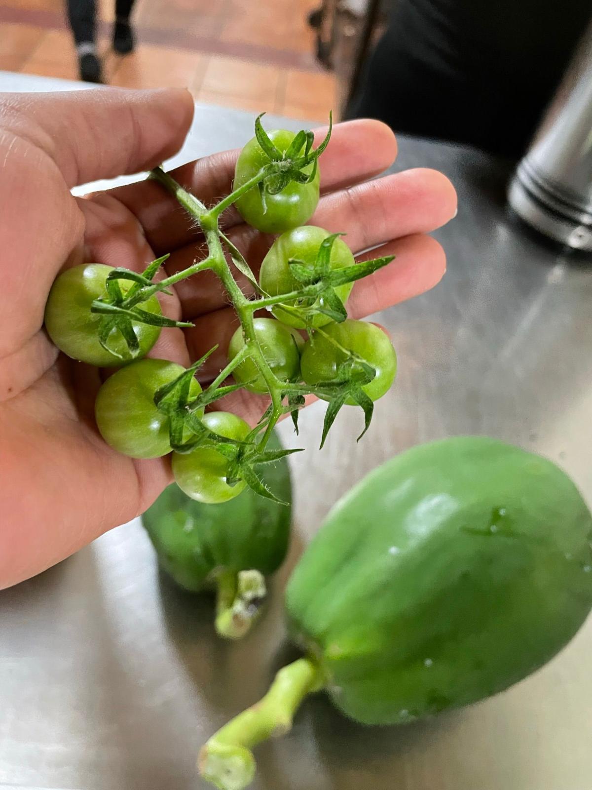 Mamey Latin Soul Food Gericht und Momente in Winterthur