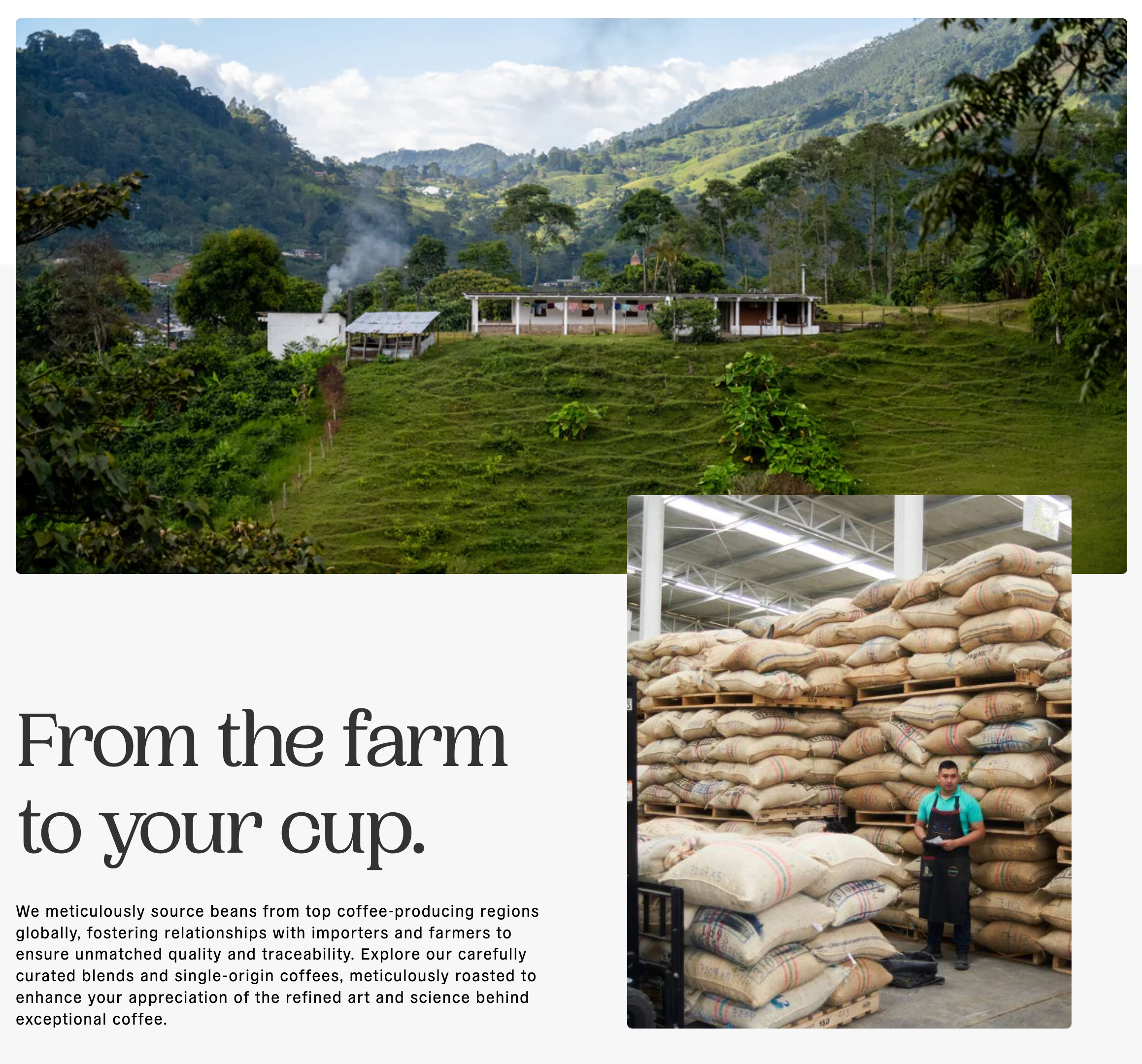 Conscious Cup Story Section