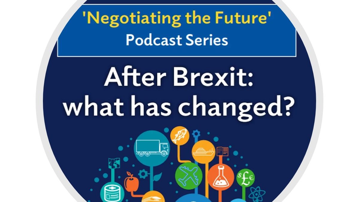 Generic picture_After Brexit podcast