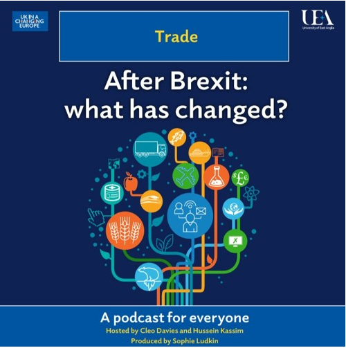 Trade After Brexit What has changed? David Bailey