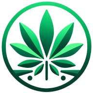 CBDNews.io