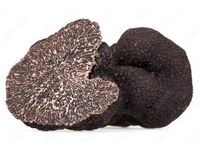 Wintertrüffel (Tuber melanosporum)