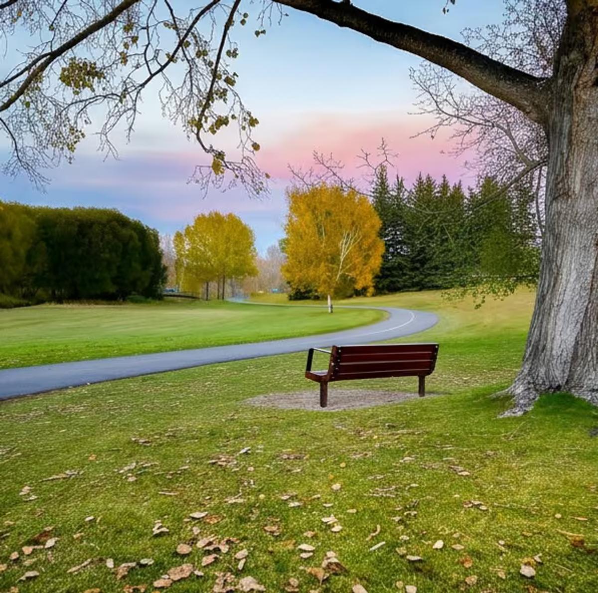 Parks & nature in Banff Trail, Calgary