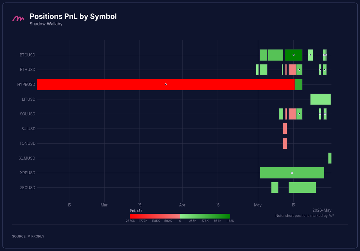 Shadow Wallaby Positions PnL by Symbol