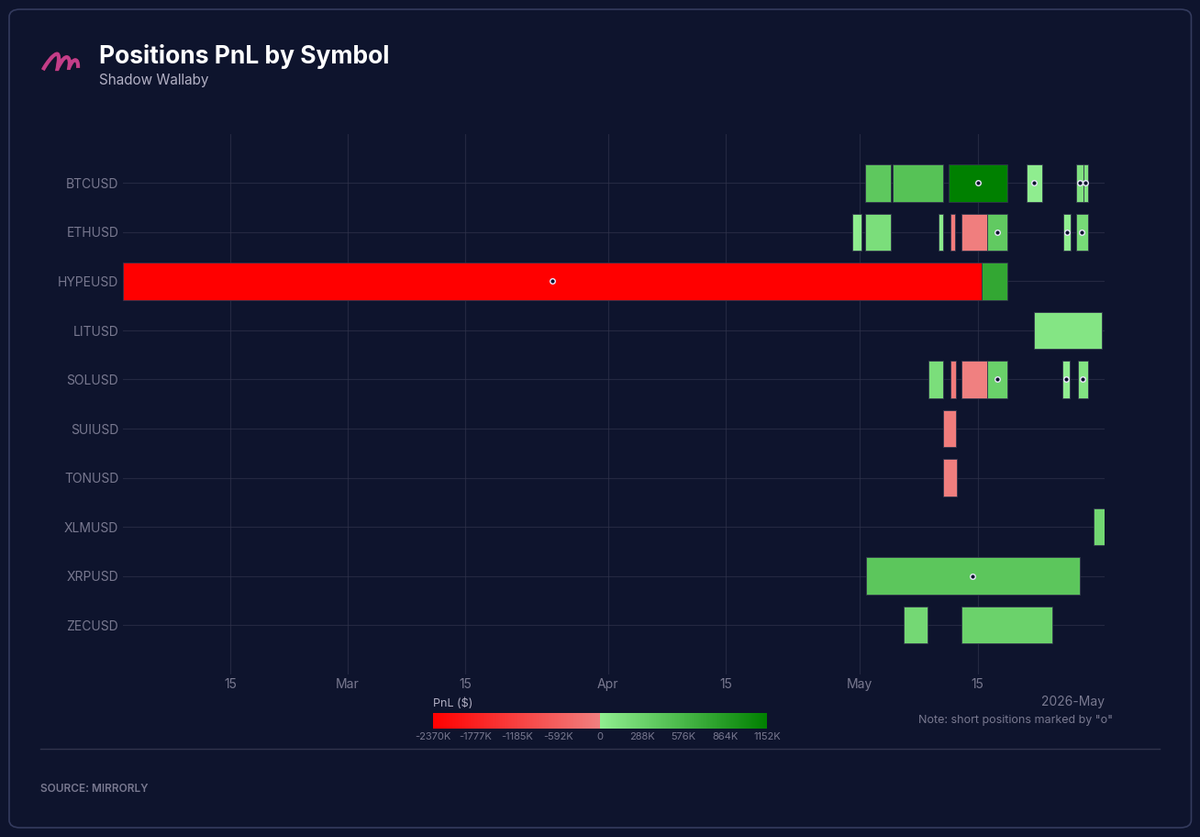 Shadow Wallaby Positions PnL by Symbol
