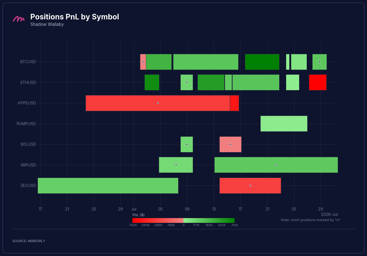 Shadow Wallaby Positions PnL by Symbol