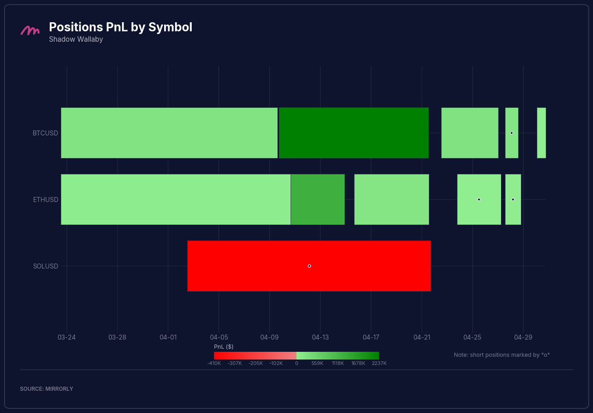 Shadow Wallaby Positions PnL by Symbol