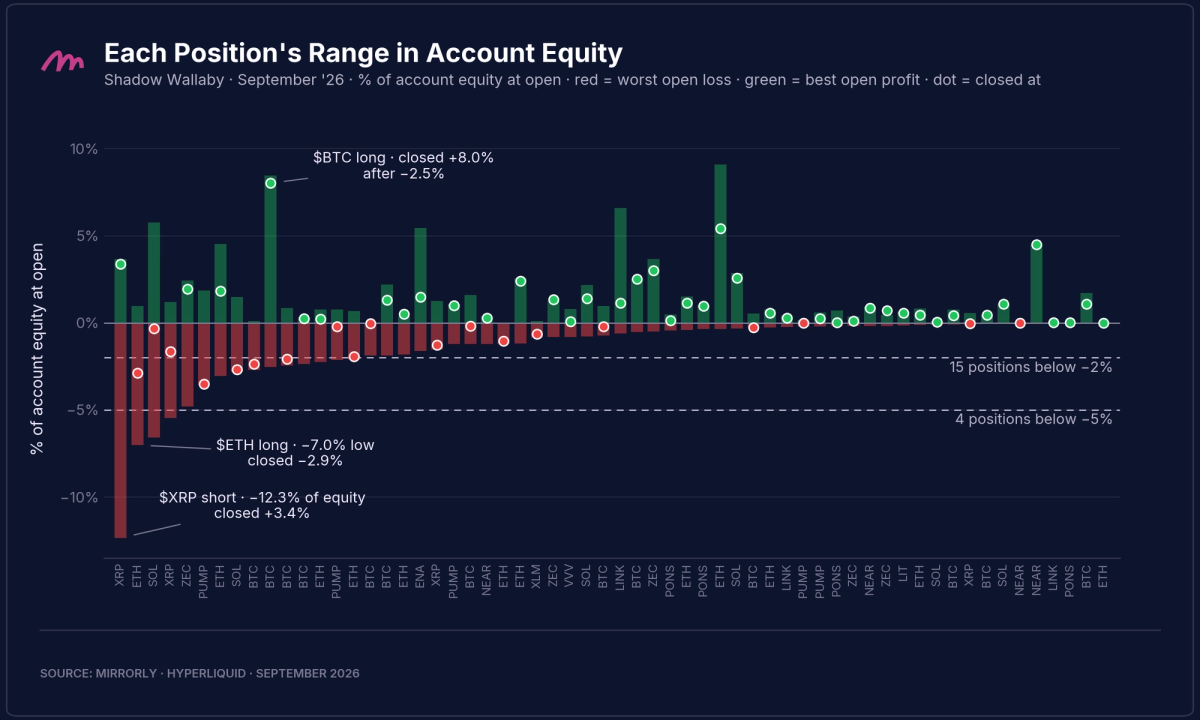Shadow Wallaby Position Range as Share of Account Equity