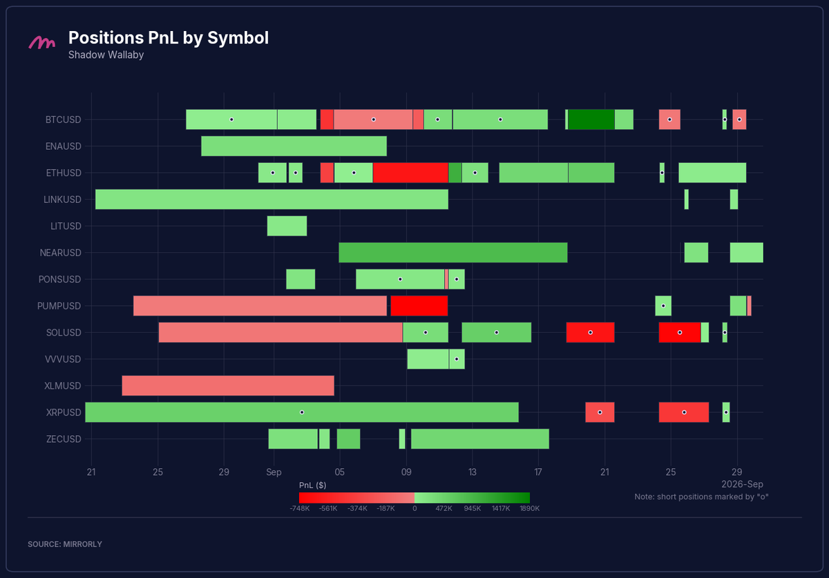 Shadow Wallaby Positions PnL by Symbol